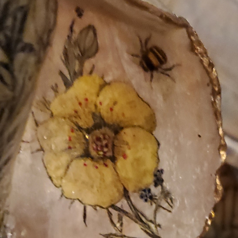 Knobbed Welk Shell in a Bee Floral Design 🤎⚜️💛⚜️ - Picture 5 of 5